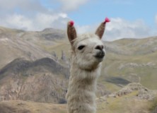 Découverte des hauts plateaux du centre