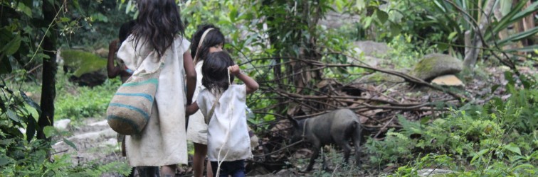 L'aventure colombienne